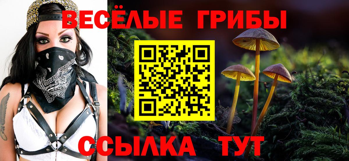 Галлюциногенные грибы Psilocybine cubensis Советский