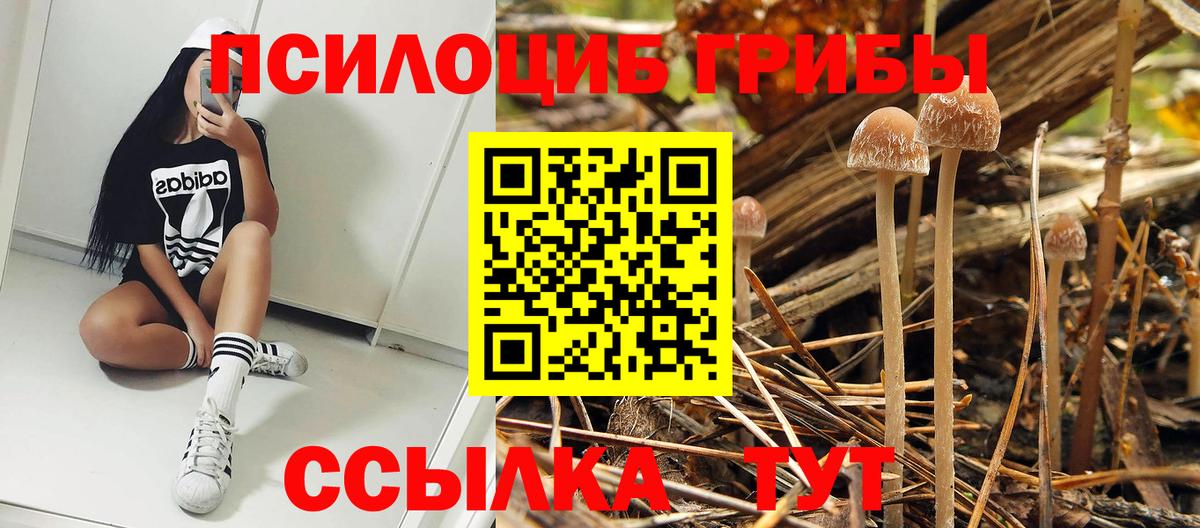 дарнет шоп  Псилоцибиновые грибы мухоморы  Вход с VPN  Советский 